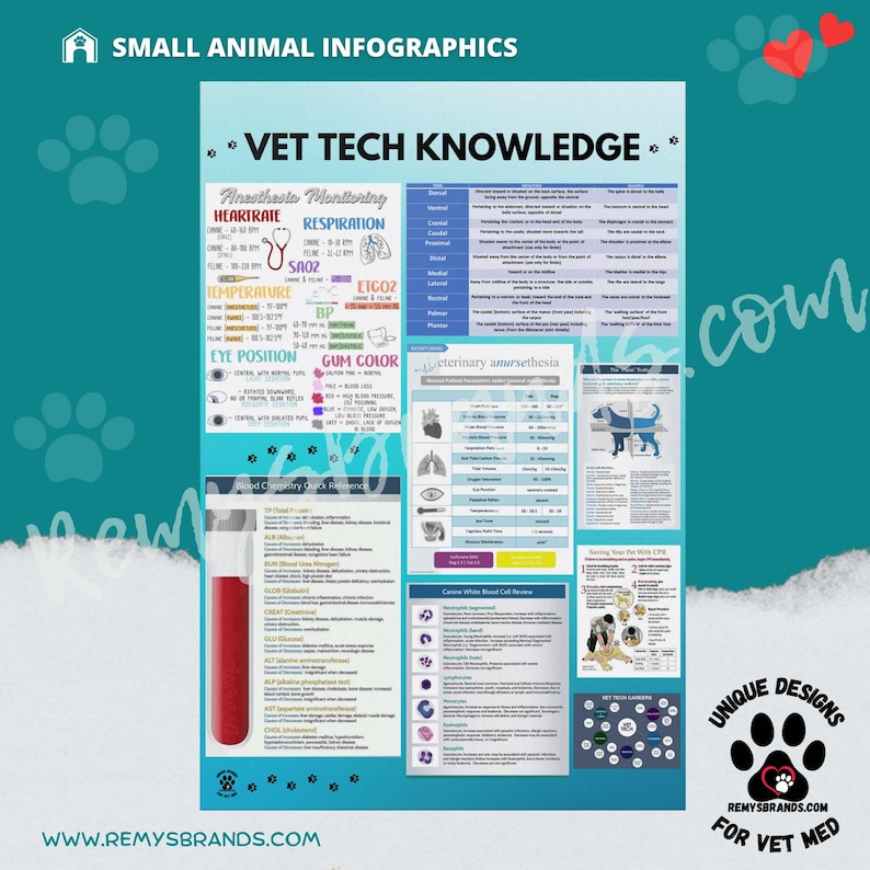Vet Tech Knowledge Poster: Small Animal Veterinary Infographics - Etsy