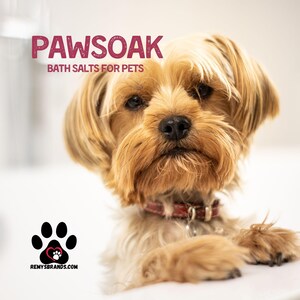 May include: A small, brown and white Yorkshire Terrier dog with a red collar looks directly at the camera. The dog is sitting on a white surface. The text "PAWSOAK BATH SALTS FOR PETS" is above the dog. A paw print logo with a heart is below the dog with the text "REMYSBRANDS.COM".
