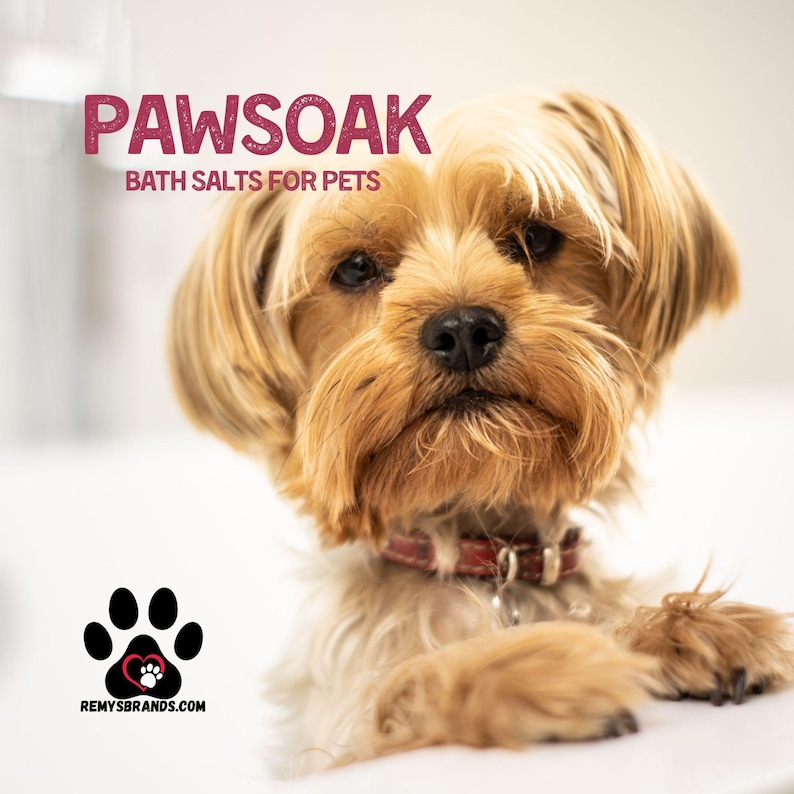May include: A small, brown and white Yorkshire Terrier dog with a red collar looks directly at the camera. The dog is sitting on a white surface. The text "PAWSOAK BATH SALTS FOR PETS" is above the dog. A paw print logo with a heart is below the dog with the text "REMYSBRANDS.COM".