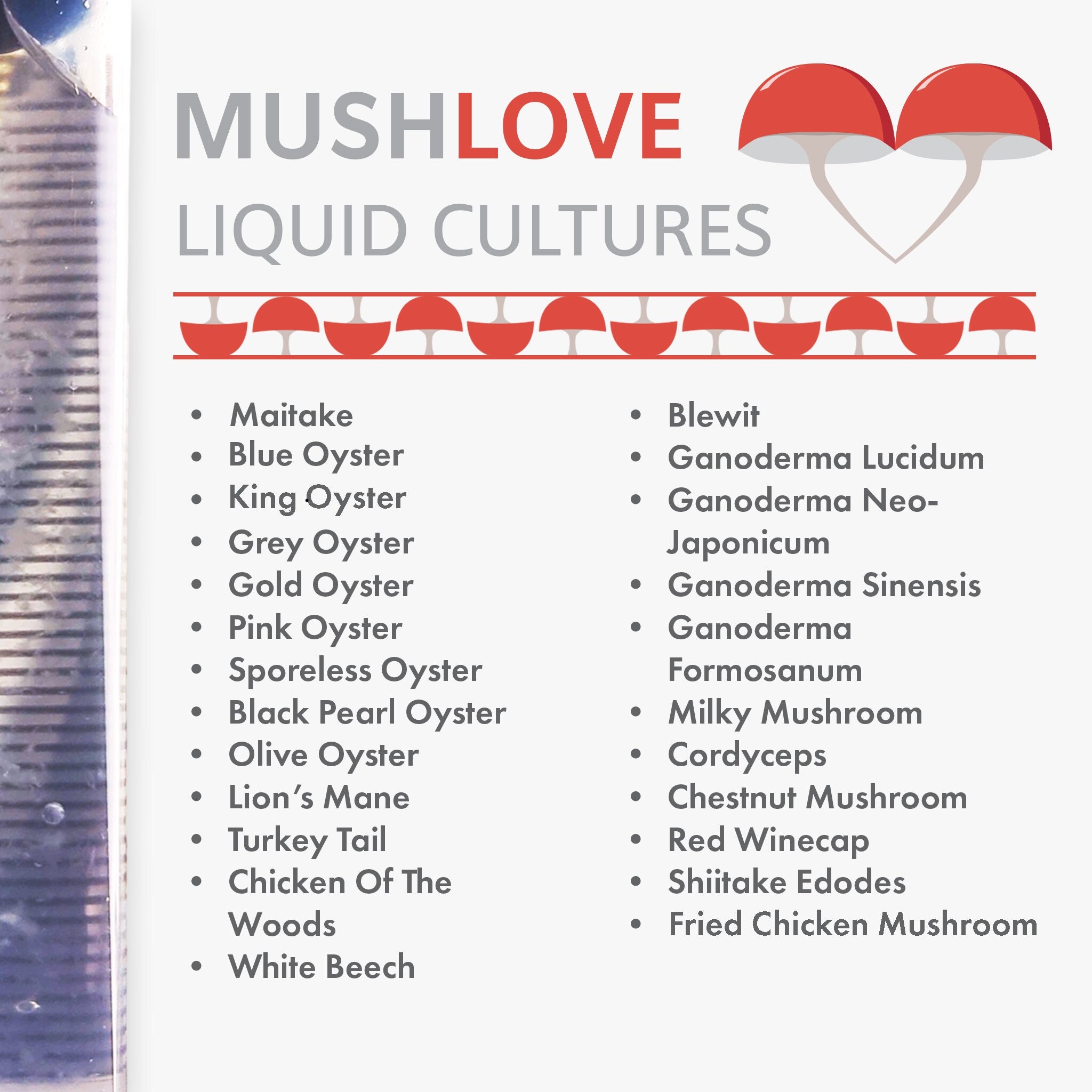 Mushroom Liquid Culture 25 Varieties to Choose From