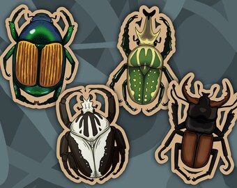 Wooden Fridge Magnet - Magnets - Beetle Shapes - Beetle Species - Insects
