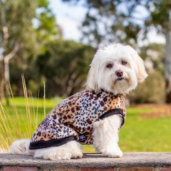 leopard print jumper australia