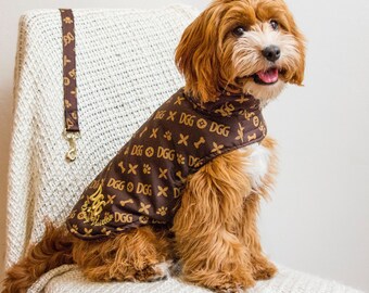 dog gucci hoodie