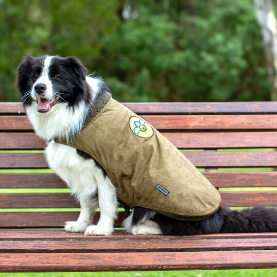 military dog jacket