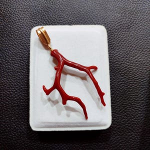 Beautiful 100% Natural Red Coral Gold Brass Pendant, Red Coral Rough Shape Pendant, Coral Branch Pendant, Unisex Coral Gemstone Pendant