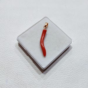 Puede incluir: Un colgante de coral rojo vibrante con una fianza dorada. El colgante tiene forma curva y alargada, presentado sobre una superficie blanca dentro de una caja de plástico transparente. El coral tiene un aspecto liso y pulido.