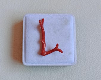 Natural Red Coral Branch: Polished Gemstone Jewelry Making (35mm, 5 Carat Approx.)