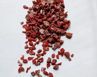 Branche De Corail Rouge Naturel Italien - 12.25 Carats - Pierre Précieuse Non Traitée