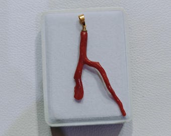 Colgante de rama de coral rojo italiano natural, auténtico coral mediterráneo, joyería llamativa de latón.
