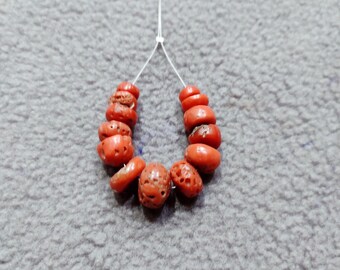 Large Display Red Coral Specimen Natural Italian Red Coral Branch