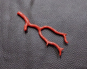 WOW Red Coral Branch-Natural Italian Red Coral Tree Rough Branch Gemstone, AAA+ Quality Coral Polished Branch Gemstones For Jewelry Making