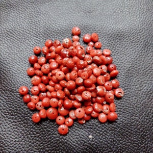 Vintage Coral Beads 100% Natural Italian Red-Orange Coral Beads Coral Polished Coral Beads Coral Beads, Wholesale Supplies 20 Piece One lot