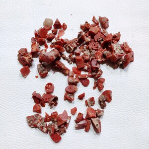 Vintage 100% natürliche Coral Rough, italienische rote Coral Rough, rote Koralle unpolierter rauer loser Edelstein, Großhandelsbedarf 100 "Cart One Lot