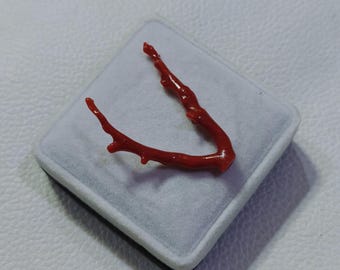 Natural Coral Branch for Jewelry Making | Real Coral Pendant Supply | Ocean Inspired Craft Material