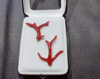 SALE !! Red Coral Polished Branch, Italian Red Coral Branch, Untreated Not Dyed, Loose Red Coral Branch, Red Coral Branch, WHOLESALE PRICE,