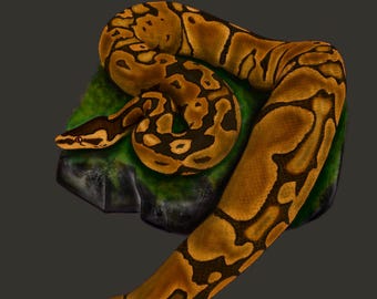 Python Original digitale Zeichnung (begrenzte Anzahl)