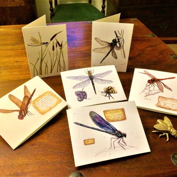 Dragonfly and Damselfly Greetings cards. All unique and accurate images painted by me.