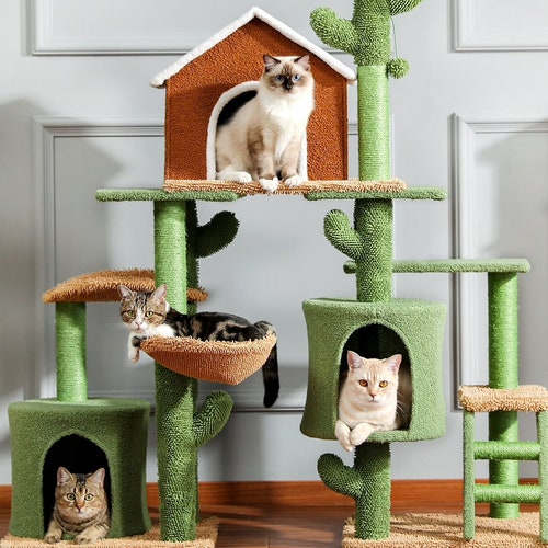 kirkland cat food nature's domain