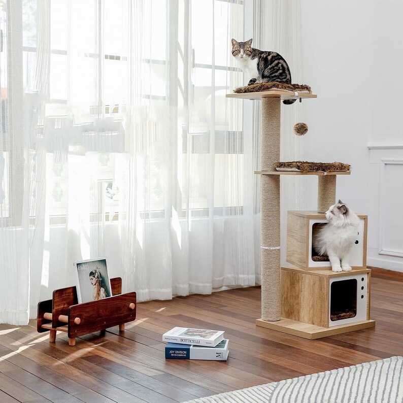 cute cat condo