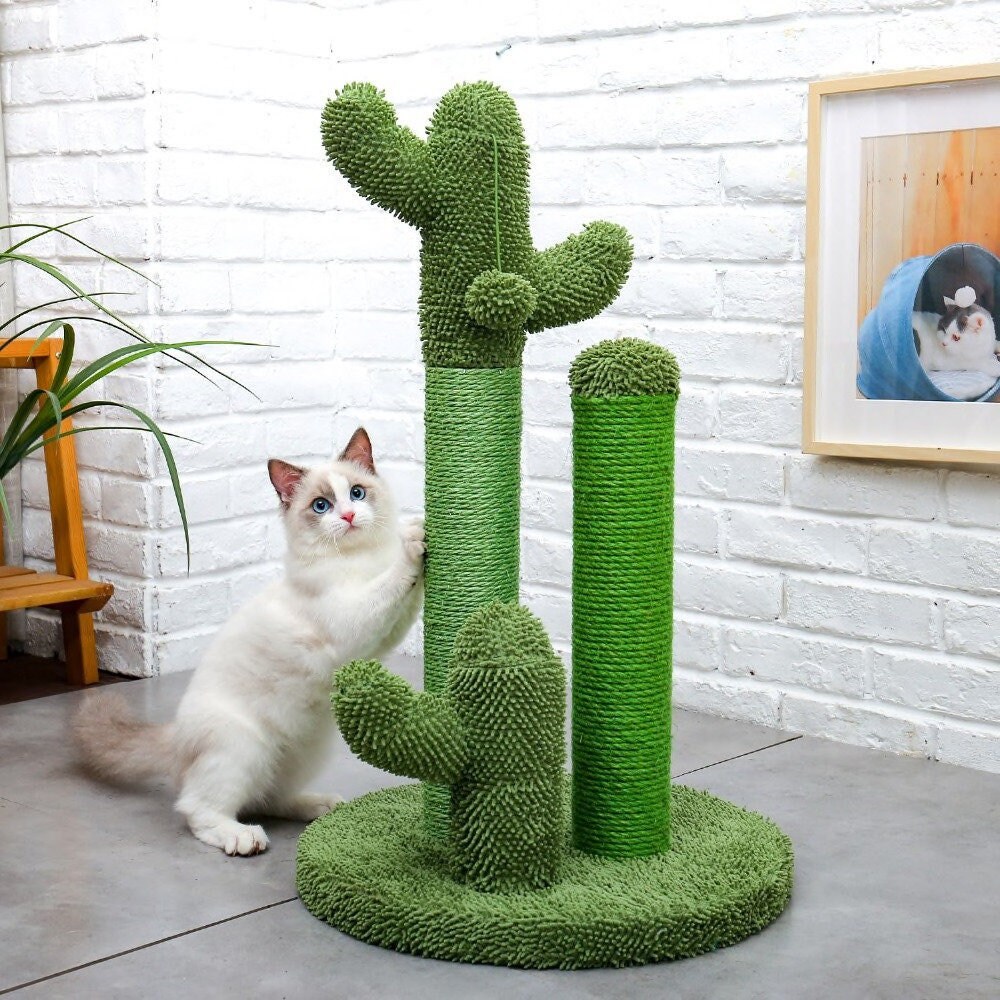 cat scratching post cactus