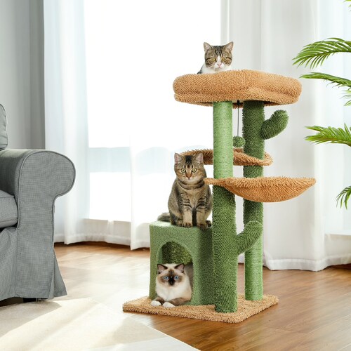 cat cactus tree