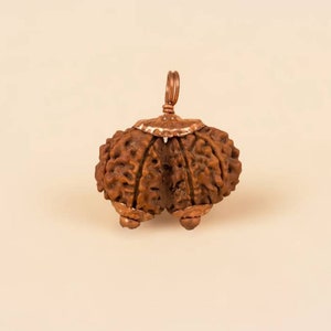Gauri Shankar Rudraksha Etsy Singapore