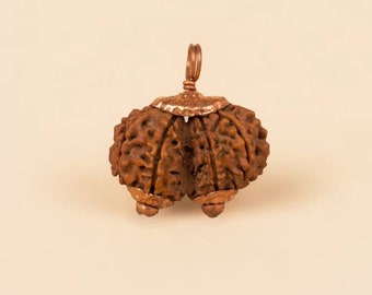 Consecrated Gauri Shankar Rudraksha