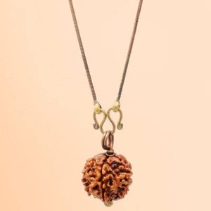Puede incluir: Un collar de cuentas de rudraksha marrón con una cadena y un cierre dorados. La cuenta es un símbolo religioso hindú tradicional.