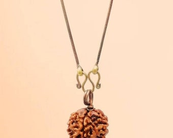 Adiyogi Rudraksha with Chain , Rudraksha for Good Mental health, Sadguru  Rudraksha