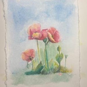 handmade art watercolor poppies poppy art for gift Christmas gift for birthday gift poppies in watercolor