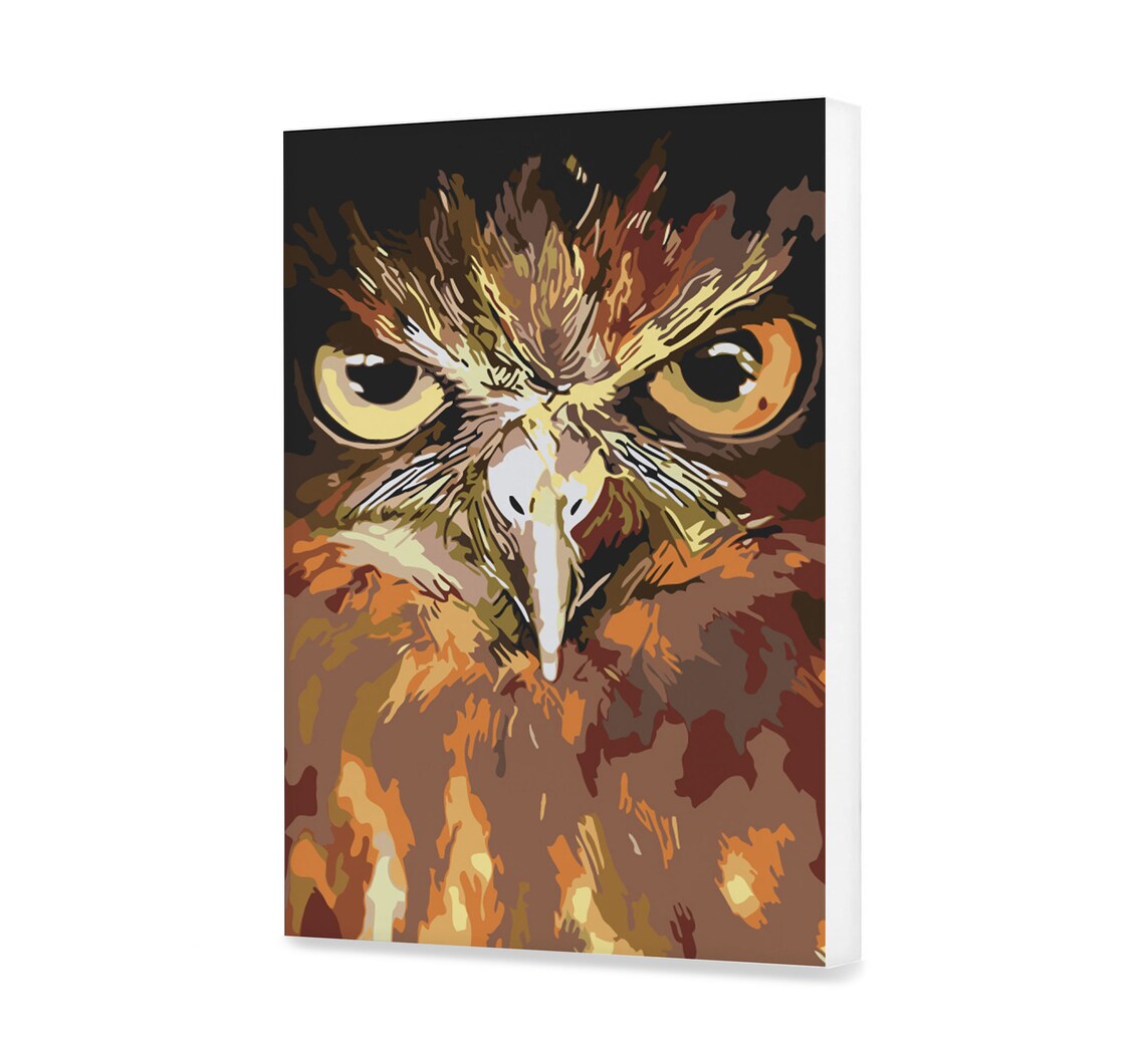 Owl Paint by Number Kit for Adults Animals Pop Art Diy Etsy
