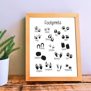 Animal Tracks Footprint Poster, Forest Animal Afdrukbare Kunst, Woodland Nursery Decor, Nursery Wall Art, Kids Room Decor, Digitale Download