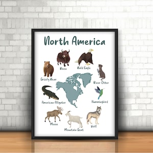 Animais do continente da América do Norte, impressões para download, aquarela Montessori educacional, crianças, meninos, meninas, crianças, decoração de parede para sala de aula