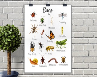 Insectenposter: montessoriprint voor kinderen (digitale download)