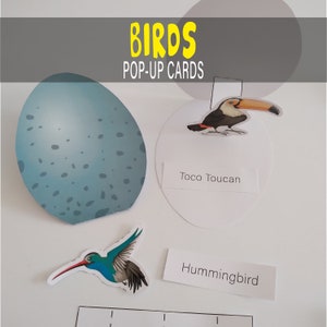 Tarjetas emergentes de huevo de pájaro libro ocupado para niños pequeños imprimibles, juego de papel Montessori para niños, materiales Montessori de aprendizaje temprano para libros ocupados