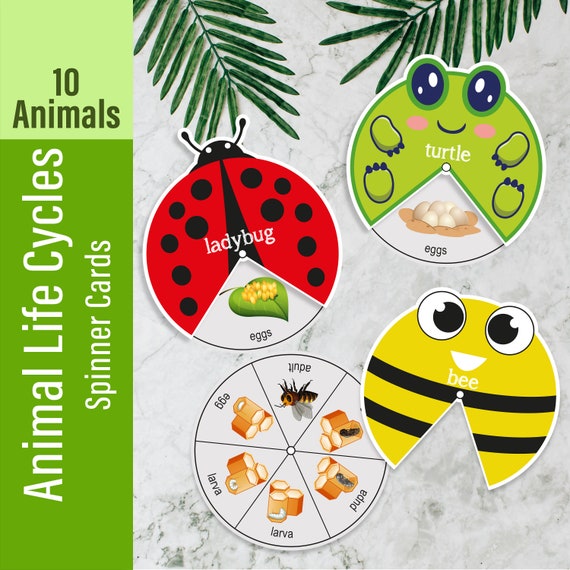 Life Cycle of ANIMAL Spinner Card Educational Printable Paper - Etsy Life Cycle of ANIMAL Spinner Card Educational Printable Paper - Etsy