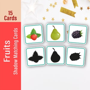 Fruits Shadow Matching Game Cards, Montessori Toddler Matching Game Cards For Kids, Early Learning Montessori Materials for Busy Book