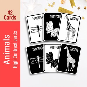 Animali con nomi Carte per bambini ad alto contrasto, Carte per bambini a contrasto per attività neonatali, Carte in bianco e nero, Carte sensoriali, Carte stampabili