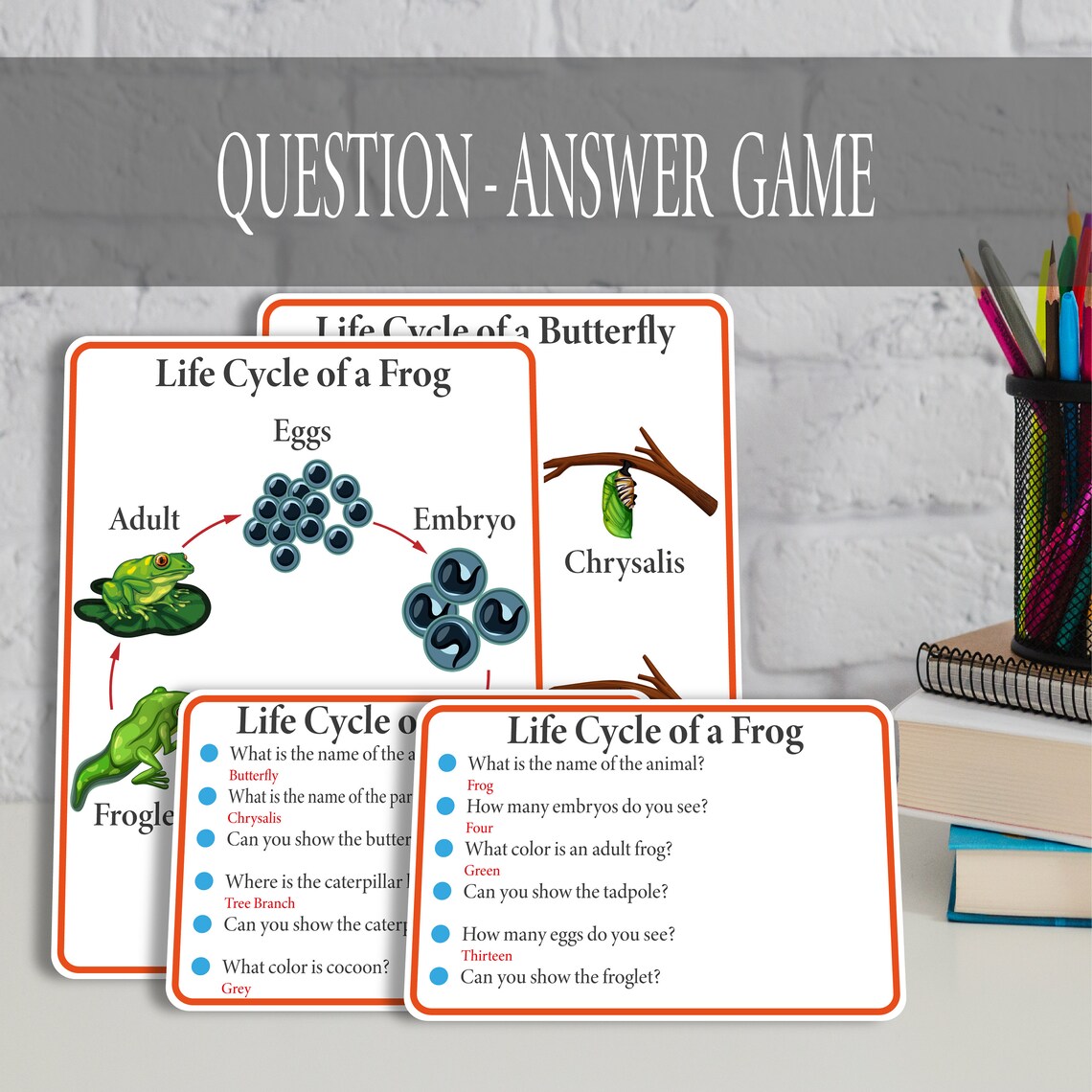 Biology QuestionAnswer Game Cards Montessori Toddler Game Etsy España