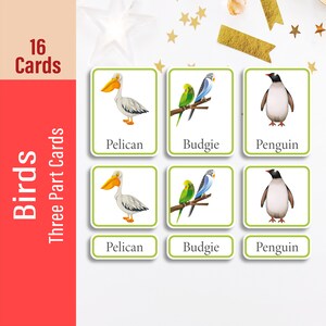 BIRD Three Part Flash Cards, Homeschool Animal Printable for Kids, Educational Montessori Materials, Nomenclature Cards, Preschool, Nursery