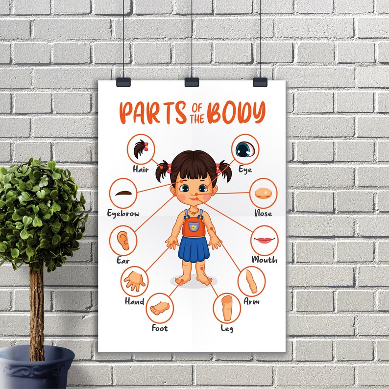 Parts of Body Poster, Printable Educational Human Body Poster, Nursery ...