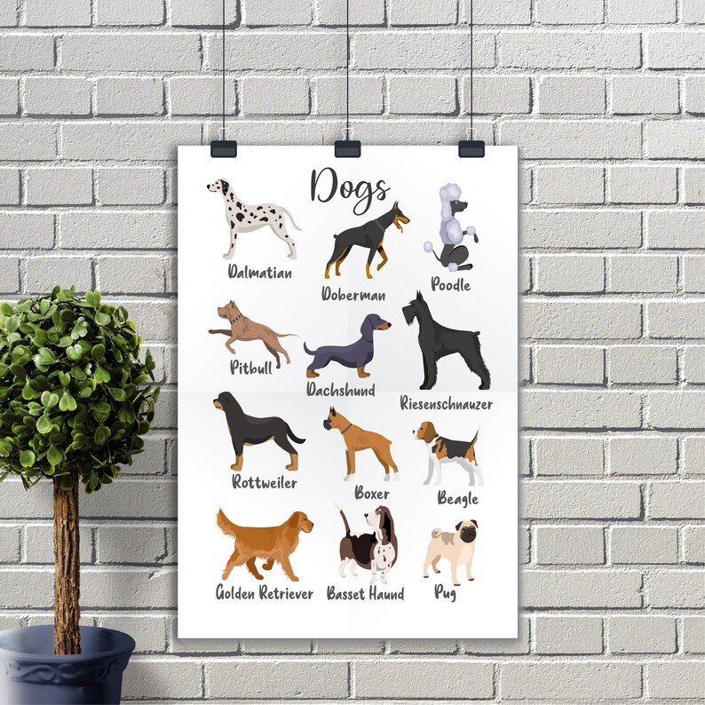 Dog Breed Chart Poster Animal Printable Wall Art for Kids - Etsy