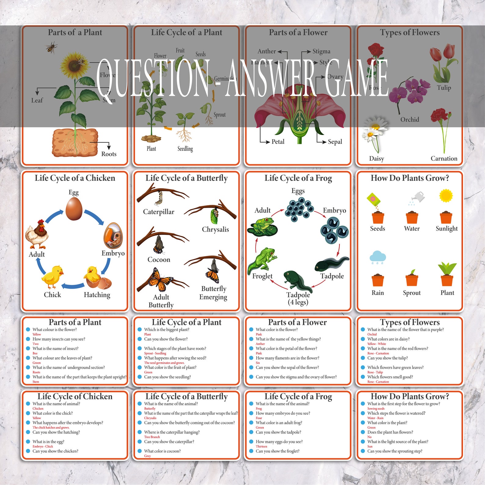 Biology QuestionAnswer Game Cards Montessori Toddler Game Etsy España