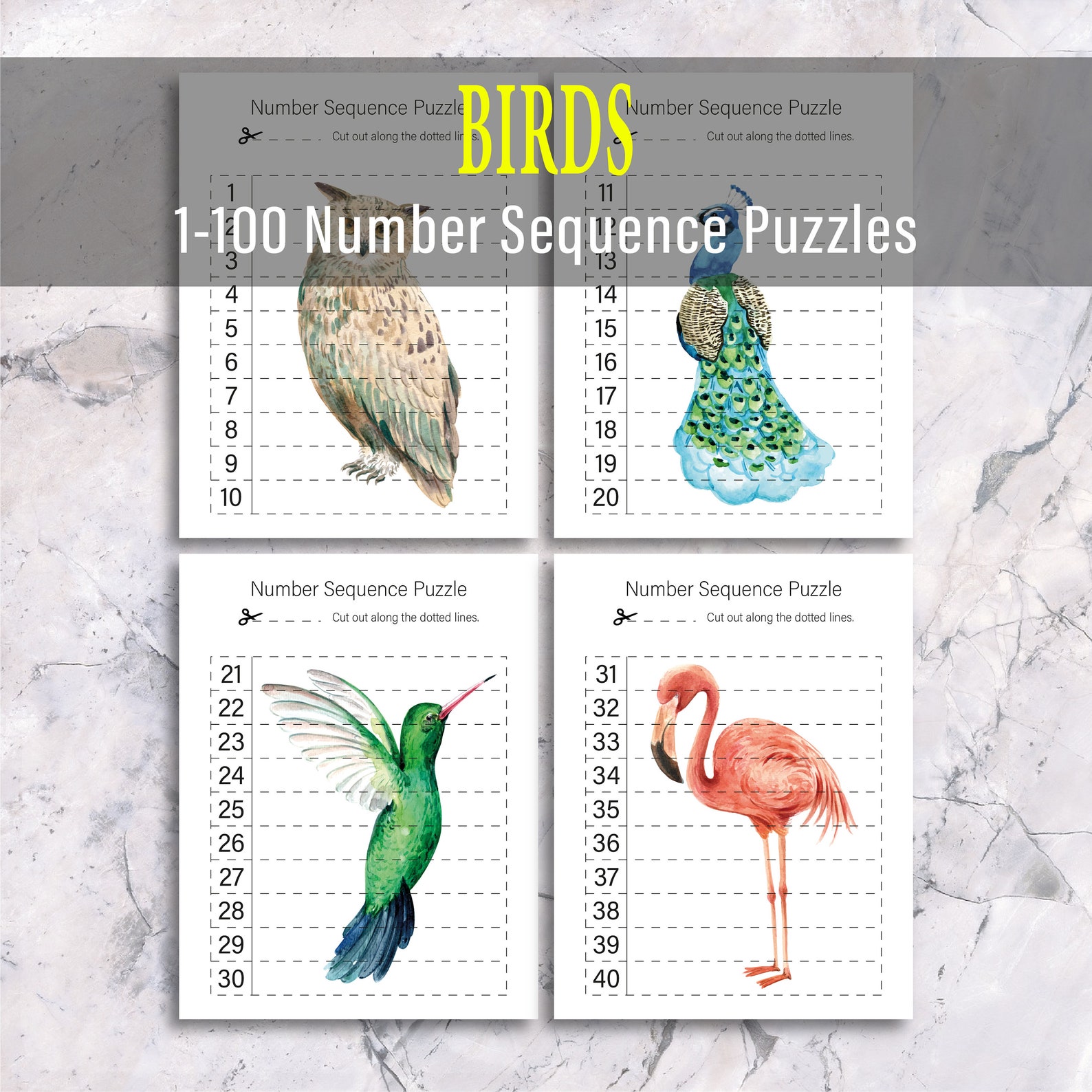 Bird Number Sequence Puzzle: Printable Math Game (PDF) - Etsy