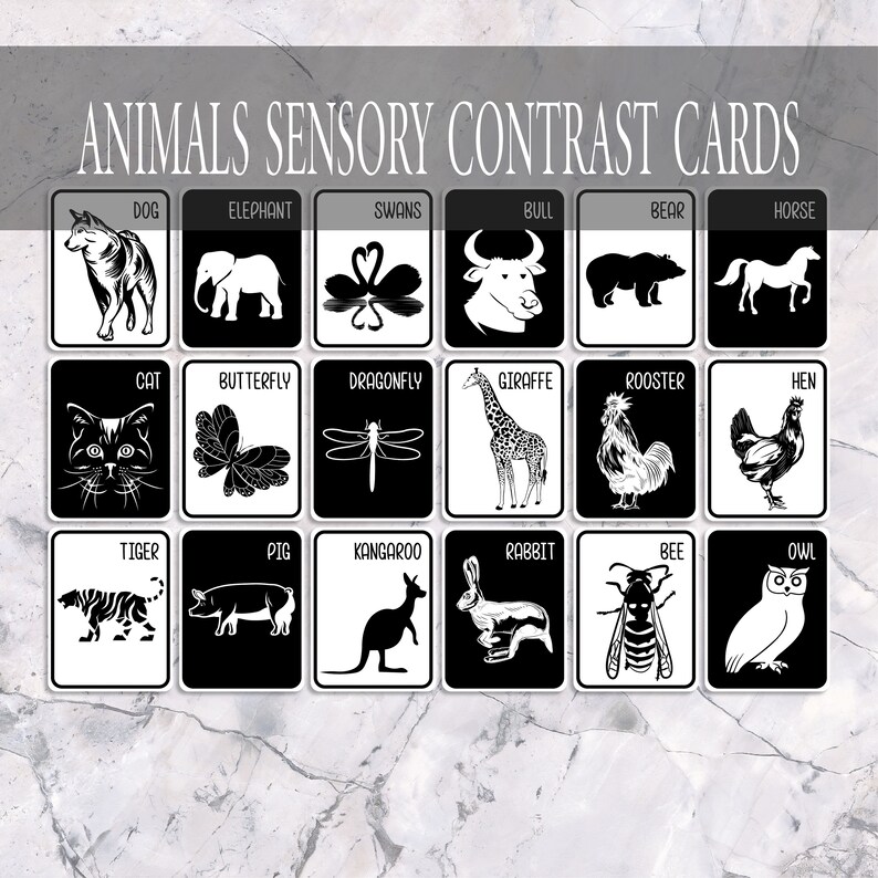 Animals With Names High Contrast Baby Cards, Baby Contrast Cards for ...