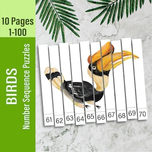 Rompecabezas de secuencia BIRD, Rompecabezas de conteo de números imprimible, Preescolar, Jardín de infantes, Juego de matemáticas educativo en casa, Actividad del centro de matemáticas, PDF