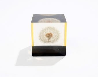 Gumps Löwenzahn Lucite Blume Tischplatte Vintage MCM Acryl Wissenschaftliche Harz Briefbeschwerer.