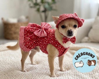 Cute summer dress and hat/cap set for dogs