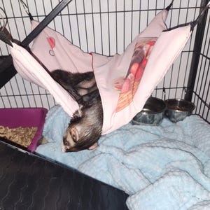 May include: A ferret rests in a pink hammock inside a wire cage. The hammock is suspended from the top of the cage and has a printed design. Below the hammock is a light blue blanket. Two metal bowls are visible, along with a purple litter box.