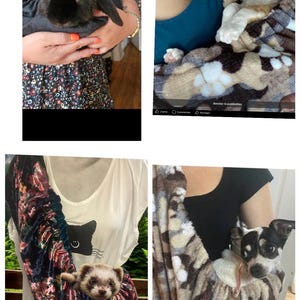 Srunchie scarf for cats and small dogs